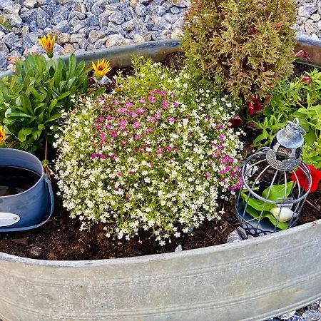 Am Schlosspark * Elbingerode (Saxony-Anhalt)