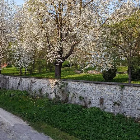 Am Schlosspark * Elbingerode (Saxony-Anhalt)