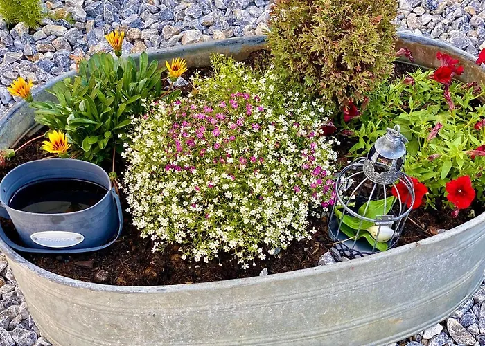 Am Schlosspark * Elbingerode (Saxony-Anhalt)