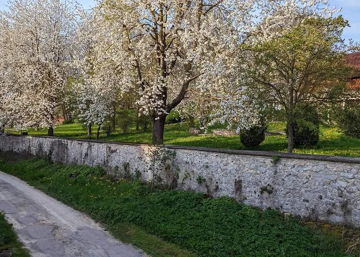 Am Schlosspark * Elbingerode (Saxony-Anhalt)
